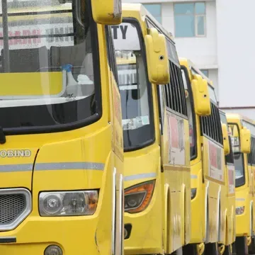 University buses